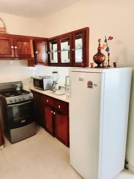 Apartmento En Los Restauradores 산토도밍고 아파트